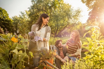 Personen bei der Gartenarbeit