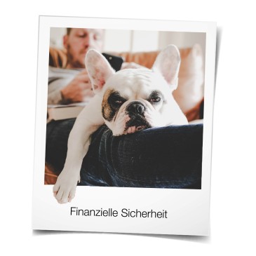 Hund_Finanzielle Sicherheit