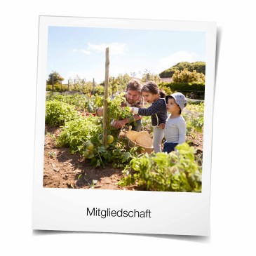 Mitglied-werden-Sparda-Bank